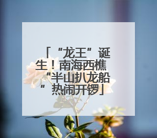 “龙王”诞生！南海西樵“半山扒龙船”热闹开锣
