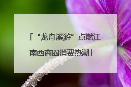 “龙舟溪游”点燃江南西商圈消费热潮