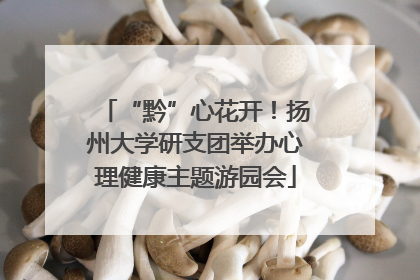 “黔”心花开！扬州大学研支团举办心理健康主题游园会