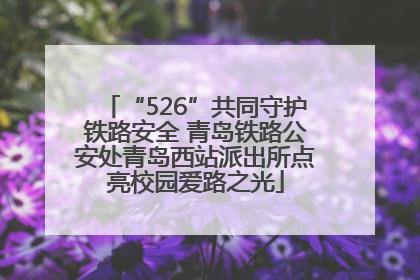 “526”共同守护铁路安全 青岛铁路公安处青岛西站派出所点亮校园爱路之光