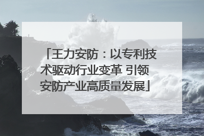 王力安防：以专利技术驱动行业变革 引领安防产业高质量发展