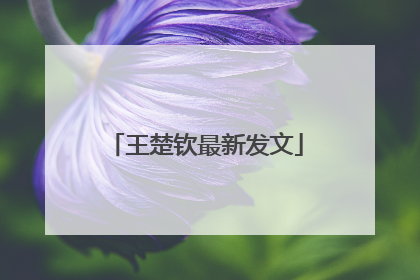 王楚钦最新发文