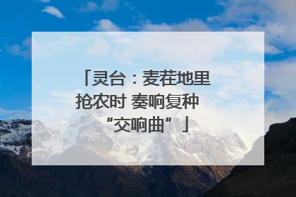 灵台：麦茬地里抢农时 奏响复种“交响曲”