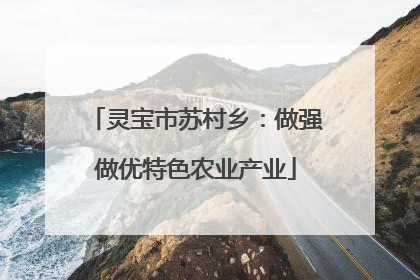 灵宝市苏村乡：做强做优特色农业产业