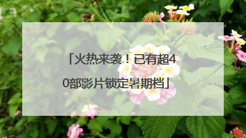 火热来袭！已有超40部影片锁定暑期档