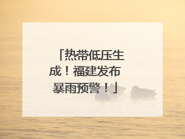 热带低压生成！福建发布暴雨预警！