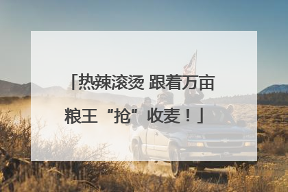热辣滚烫 跟着万亩粮王“抢”收麦！