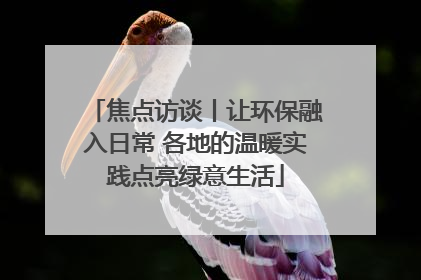 焦点访谈丨让环保融入日常 各地的温暖实践点亮绿意生活