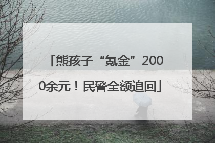 熊孩子“氪金”2000余元！民警全额追回