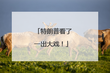 特朗普看了一出大戏！
