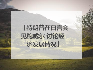 特朗普在白宫会见鲍威尔 讨论经济发展情况