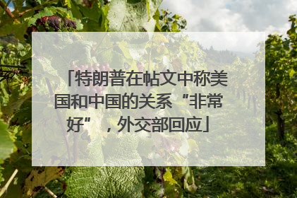 特朗普在帖文中称美国和中国的关系“非常好”，外交部回应