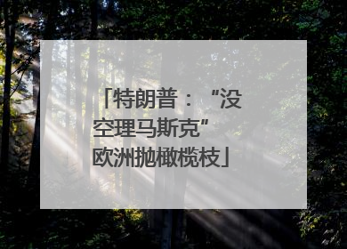特朗普：“没空理马斯克” 欧洲抛橄榄枝
