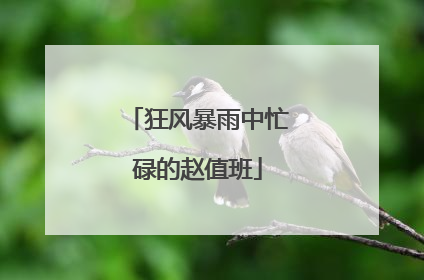 狂风暴雨中忙碌的赵值班