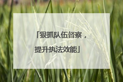 狠抓队伍督察，提升执法效能