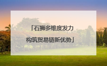 石狮多维度发力 构筑贸易链新优势