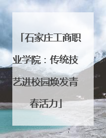 石家庄工商职业学院：传统技艺进校园焕发青春活力