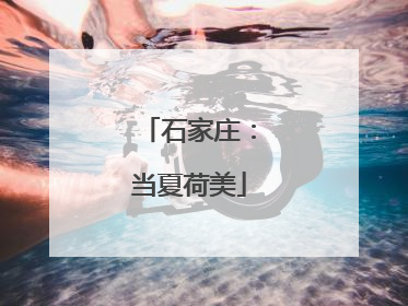 石家庄：当夏荷美