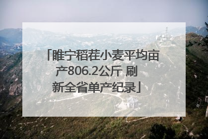 睢宁稻茬小麦平均亩产806.2公斤 刷新全省单产纪录