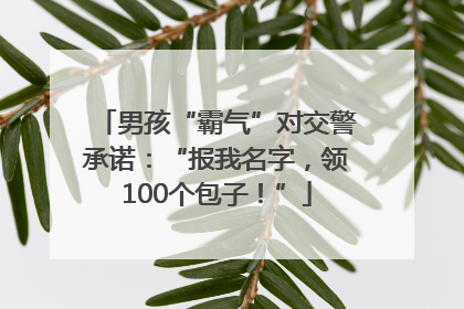 男孩“霸气”对交警承诺：“报我名字，领100个包子！”
