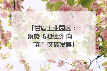 甘眉工业园区：聚势飞地经济 向“新”突破发展