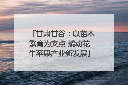 甘肃甘谷：以苗木繁育为支点 撬动花牛苹果产业新发展