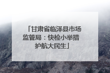 甘肃省临泽县市场监管局：快检小举措 护航大民生
