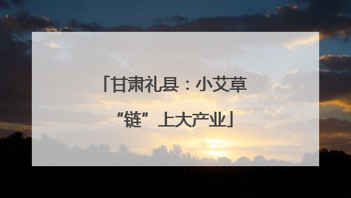 甘肃礼县：小艾草“链”上大产业