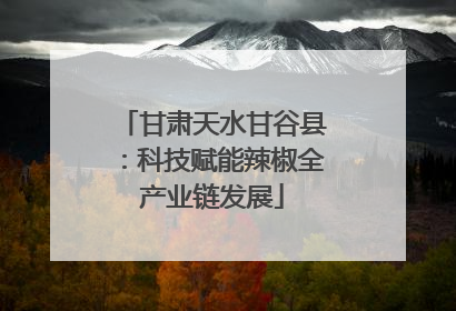 甘肃天水甘谷县：科技赋能辣椒全产业链发展