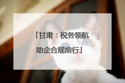 甘肃：税务领航 助企合规前行