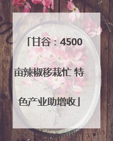 甘谷：4500亩辣椒移栽忙 特色产业助增收