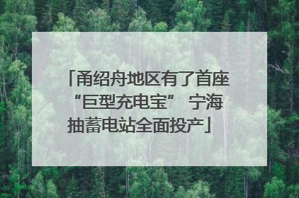 甬绍舟地区有了首座“巨型充电宝” 宁海抽蓄电站全面投产