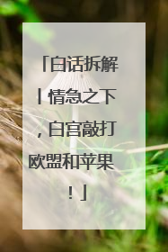 白话拆解丨情急之下，白宫敲打欧盟和苹果！
