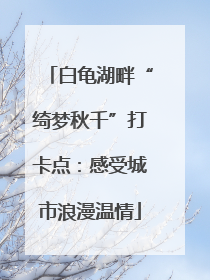 白龟湖畔“绮梦秋千”打卡点：感受城市浪漫温情