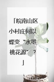 皖南山区小村庄何以蝶变“水墨桃花源”？