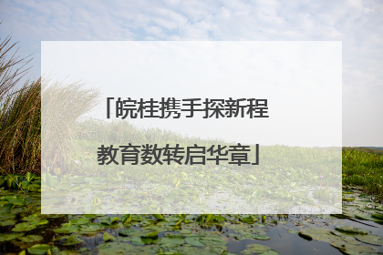 皖桂携手探新程 教育数转启华章