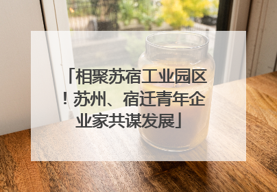 相聚苏宿工业园区！苏州、宿迁青年企业家共谋发展