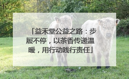益禾堂公益之路：步履不停，以茶香传递温暖，用行动践行责任