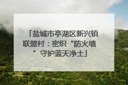 盐城市亭湖区新兴镇联盟村：密织“防火墙”守护蓝天净土