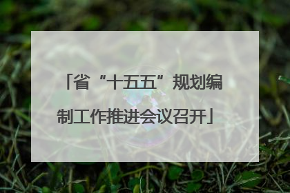 省“十五五”规划编制工作推进会议召开