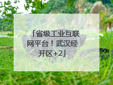 省级工业互联网平台！武汉经开区+2