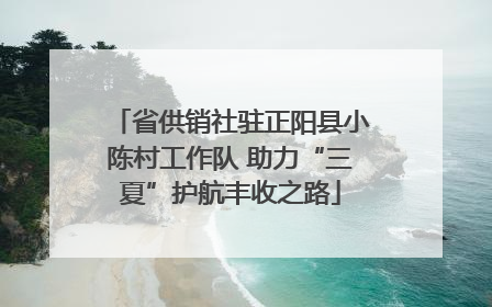 省供销社驻正阳县小陈村工作队 助力“三夏”护航丰收之路