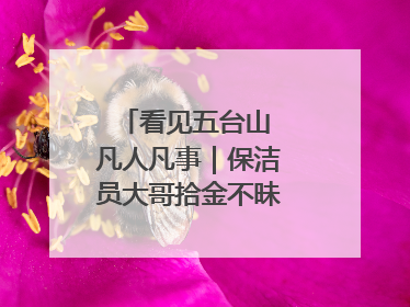 看见五台山 凡人凡事｜保洁员大哥拾金不昧传递人间温暖