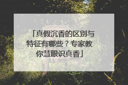 真假沉香的区别与特征有哪些？专家教你慧眼识真香