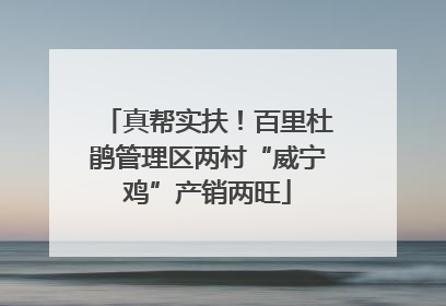 真帮实扶！百里杜鹃管理区两村“威宁鸡”产销两旺