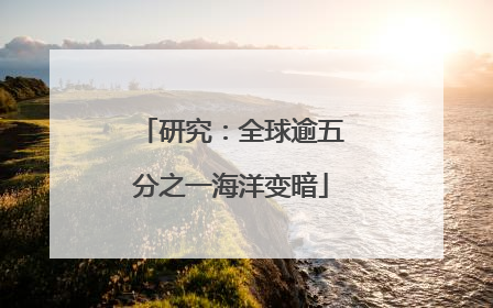 研究：全球逾五分之一海洋变暗