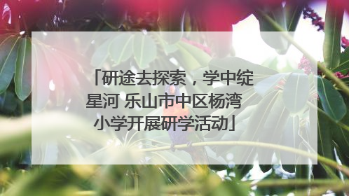 研途去探索，学中绽星河 乐山市中区杨湾小学开展研学活动