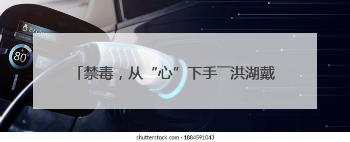 禁毒，从“心”下手――洪湖戴家场派出所广场禁毒宣传侧记