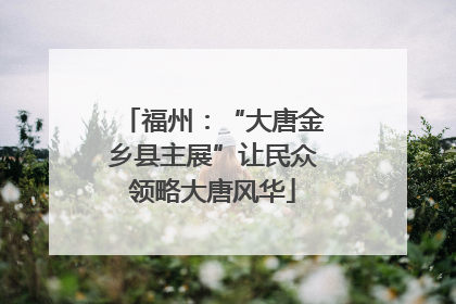 福州：“大唐金乡县主展”让民众领略大唐风华