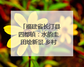 福建省长汀县四都镇：水韵圭田绘新景 乡村振兴谱华章